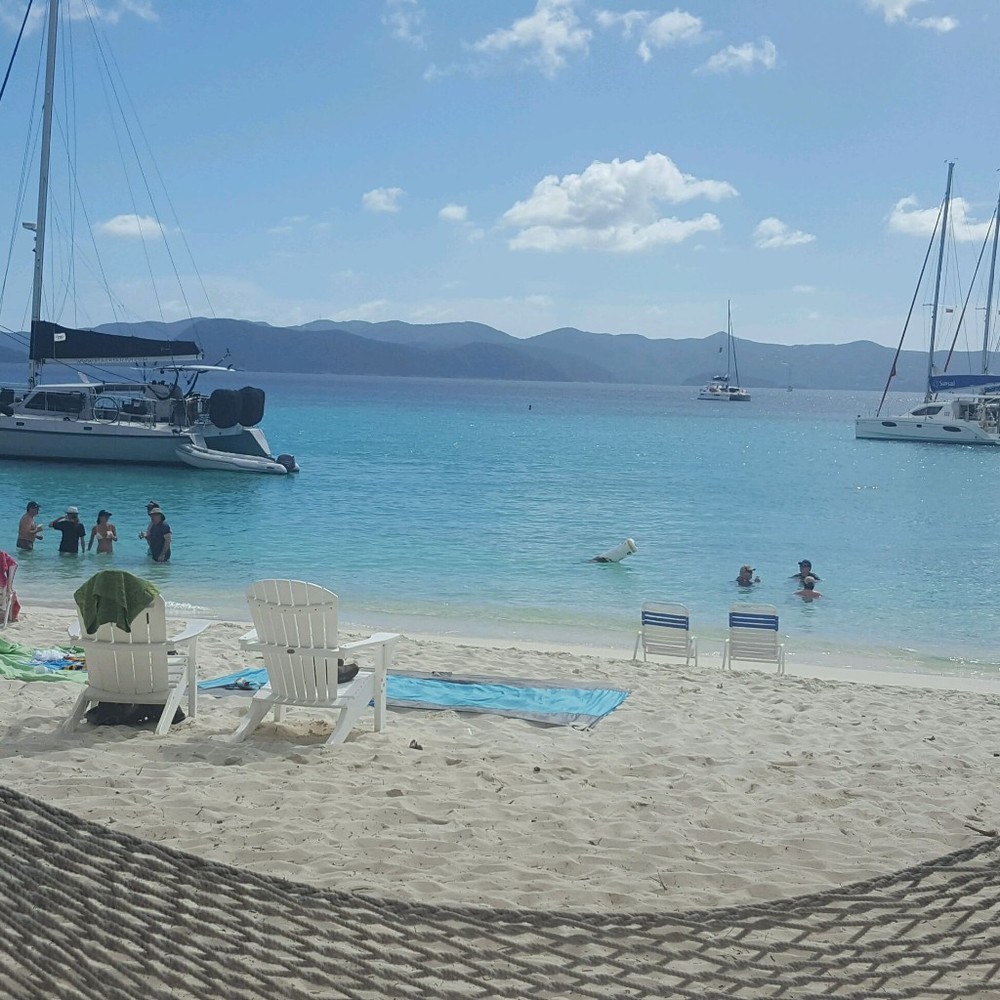 Meet your Posher, Dawn